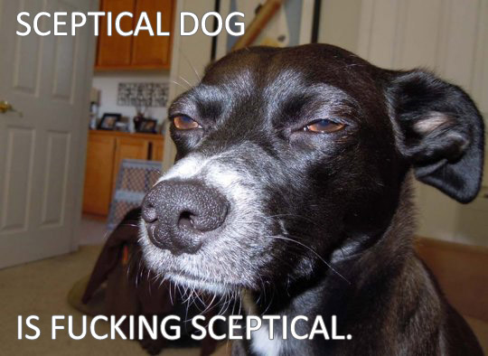 sceptical_dog.jpg
